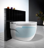 INODORO DE PIE IN-TANK MERIDIAN ROCA